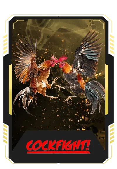 Cockfight